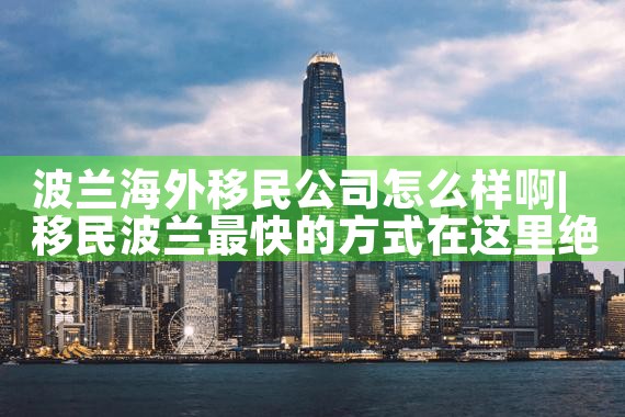 日本经营管理签证做什么项目好|日本移民