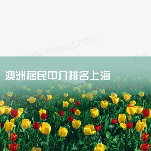 ձҪǩ֤Ӫǩ֤͸߶˲ǩ֤Ӫǩ֤ڼƻձӪҵ,ҪչʾһʽͶҵƻ߶˲ǩ..._ձ