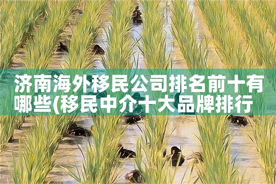 中国大学生留学移民排名|推荐移民机构
