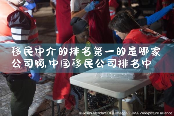移民中介的排名第一的是哪家公司啊|移民公司