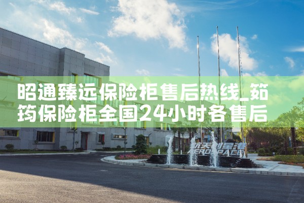 昭通臻远保险柜售后热线