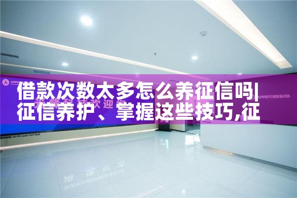 借款次数太多怎么养征信吗|养征信|债务重组