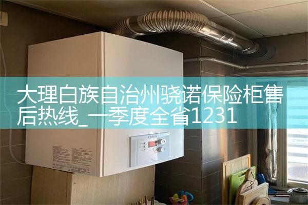 大理白族自治州骁诺保险柜售后热线