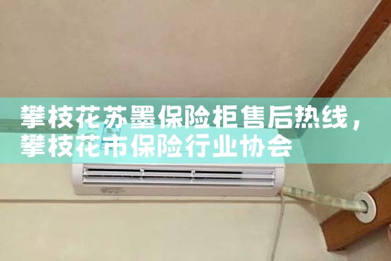 攀枝花苏墨保险柜售后热线