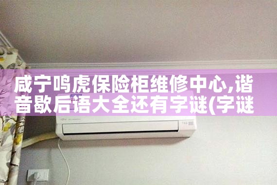 咸宁鸣虎保险柜维修中心