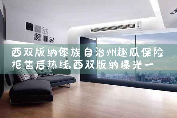 西双版纳傣族自治州趣瓜保险柜售后热线