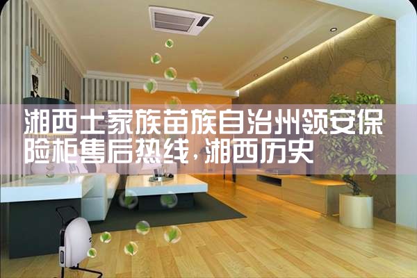 湘西土家族苗族自治州领安保险柜售后热线