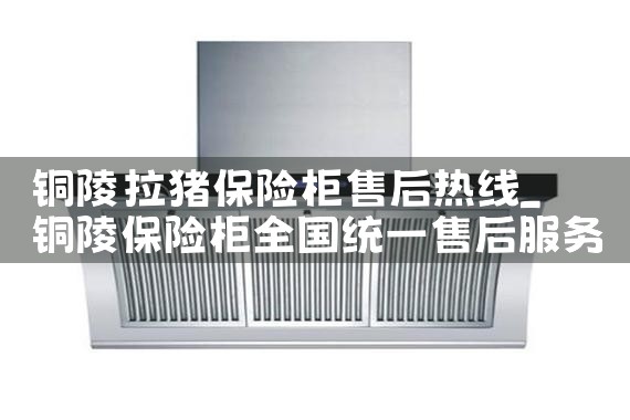 铜陵鼥拉猪保险柜售后热线